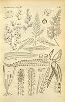  no thumbnail available