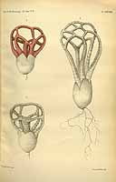  no thumbnail available