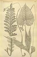  no thumbnail available