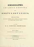  no thumbnail available