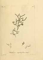  no thumbnail available