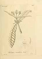  no thumbnail available