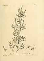  no thumbnail available