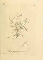  no thumbnail available