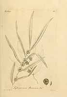  no thumbnail available