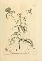  no thumbnail available