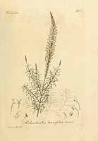  no thumbnail available