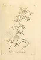  no thumbnail available