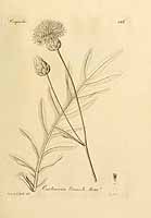  no thumbnail available