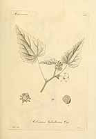  no thumbnail available