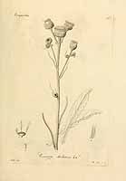  no thumbnail available