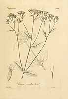  no thumbnail available