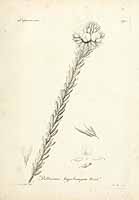  no thumbnail available