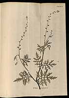  no thumbnail available