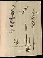  no thumbnail available