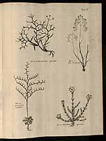  no thumbnail available