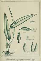  no thumbnail available