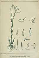  no thumbnail available