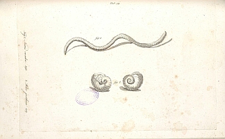  no thumbnail available