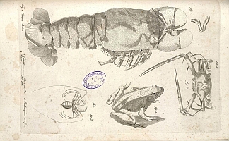  no thumbnail available