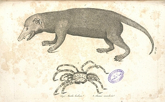  no thumbnail available