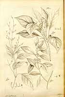  no thumbnail available