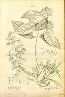  no thumbnail available