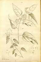  no thumbnail available