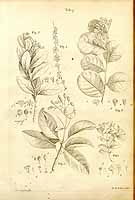  no thumbnail available