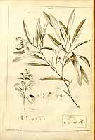  no thumbnail available