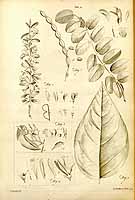  no thumbnail available