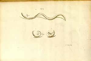  no thumbnail available