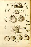  no thumbnail available