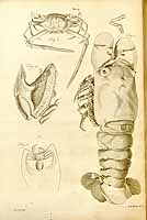  no thumbnail available