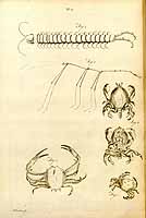  no thumbnail available