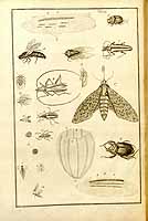  no thumbnail available