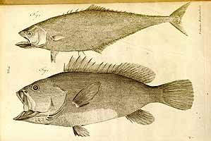  no thumbnail available