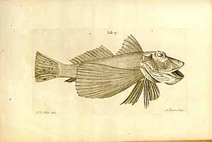  no thumbnail available