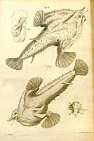  no thumbnail available