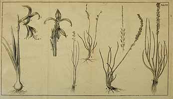  no thumbnail available