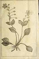  no thumbnail available