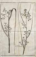  no thumbnail available