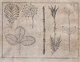  no thumbnail available