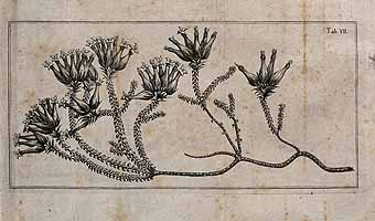  no thumbnail available