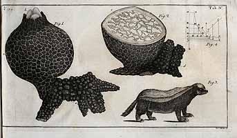  no thumbnail available