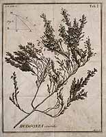  no thumbnail available