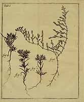  no thumbnail available