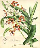  no thumbnail available