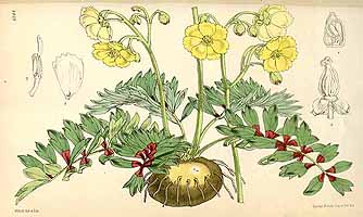  no thumbnail available