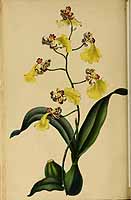  no thumbnail available